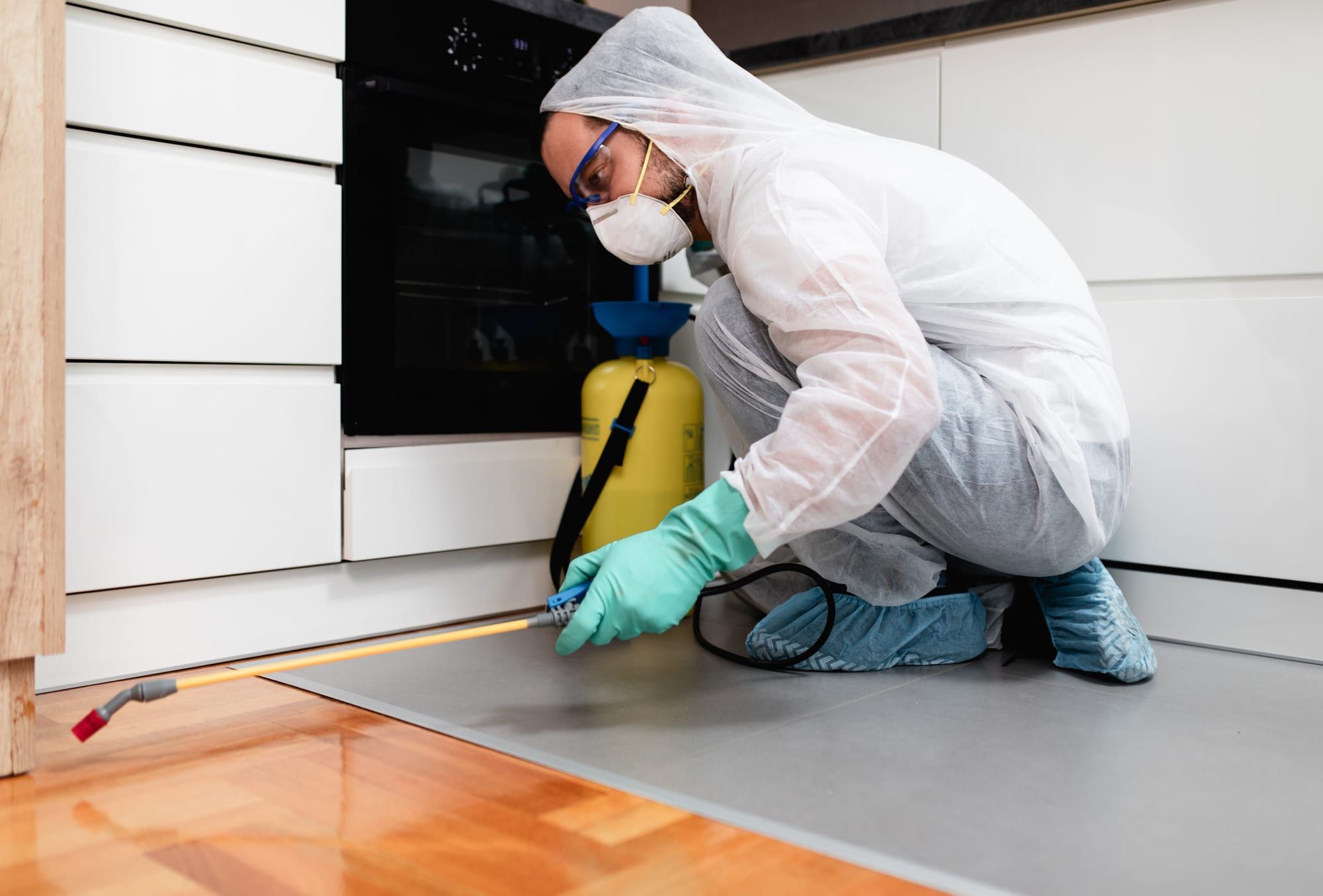 Pest control technician treating a kitchen skirting